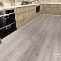 45046 Дуб Антарес - Фото 1