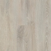 Дуб Пепельный