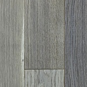 Дуб Печорский