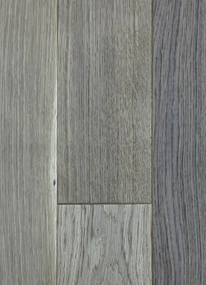 Дуб Печорский