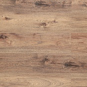 AF 4039 SPS