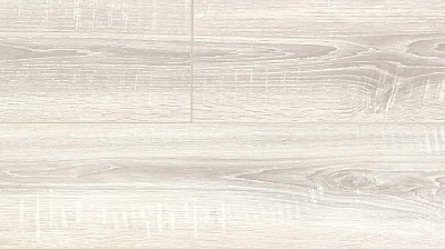 Дуб Виктория