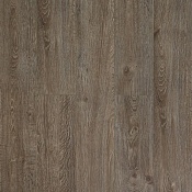 J1929 Дуб Портсмут