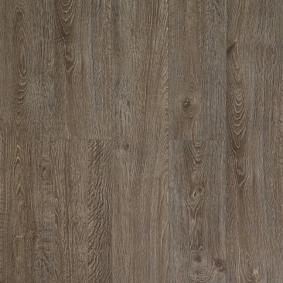 J1929 Дуб Портсмут