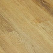 Ld1605 Дуб Аточи