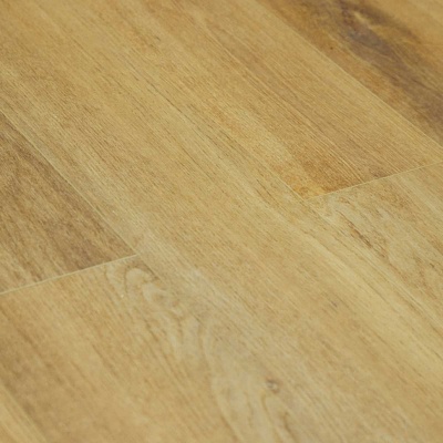 Ld1605 Дуб Аточи