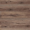 AF6041 GLUE