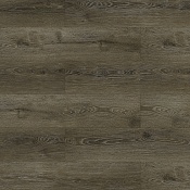 03011 Quercus