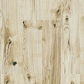 Oak Virginia White