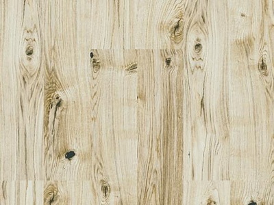 Oak Virginia White
