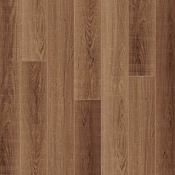 Дуб Шоколадный