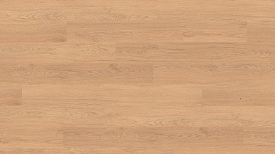 Дуб Реколета