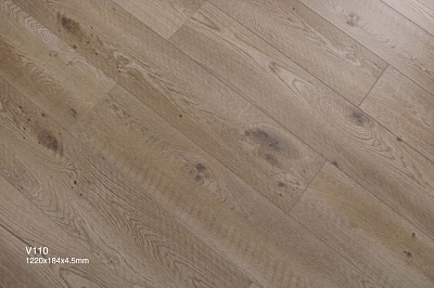 AI110 Дуб Тотолоче