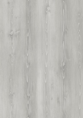 дуб Монтеверде