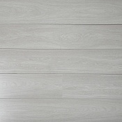 4006 Юпитер