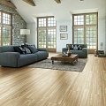 6006-4 Shimmer - Фото 1 6006-4 Shimmer - Фото 1