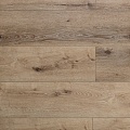 AF8001 