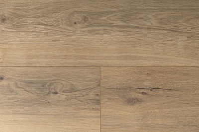DYPV253 Дуб Эстин
