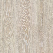 Дуб Онтарио