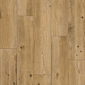 AI110 Дуб Тотолоче - Фото 3