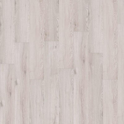 CHAPMAN OAK 05221