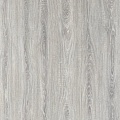 1002-32 Ash