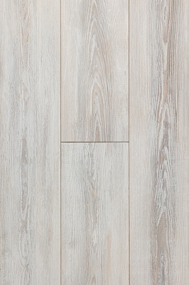 ДУБ ИБЕРИЙСКИЙ