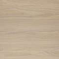 AF5516GLUE AF5516GLUE