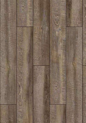 дуб Шварцвальд