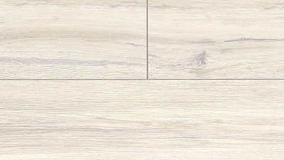 Дуб Сомерсет