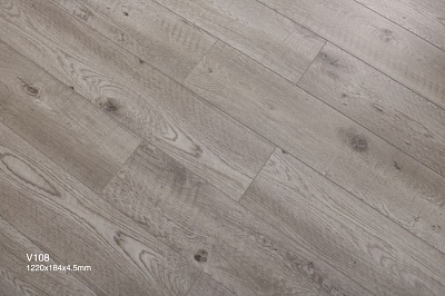  AI108 Дуб Гастерия