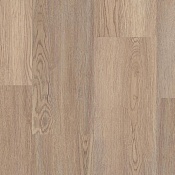 Cappuccino Oak