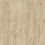 Sierra Oak