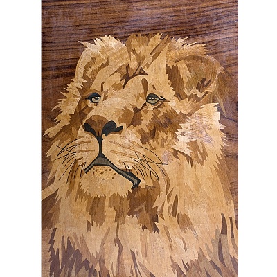 Розетка Природа РП005