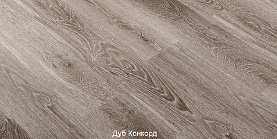 Дуб Конкорд