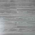 4002 Аполлон