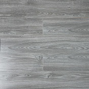 4002 Аполлон