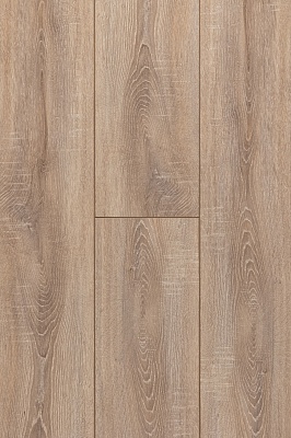 ДУБ СКИФСКИЙ