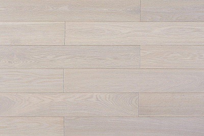 Дуб Белая ночь