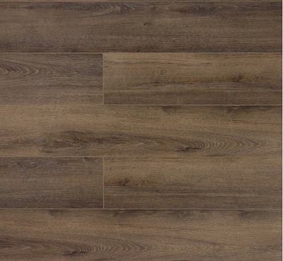 Дуб Обыкновенный