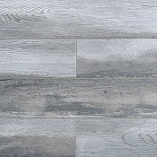  Дуб Патерсон