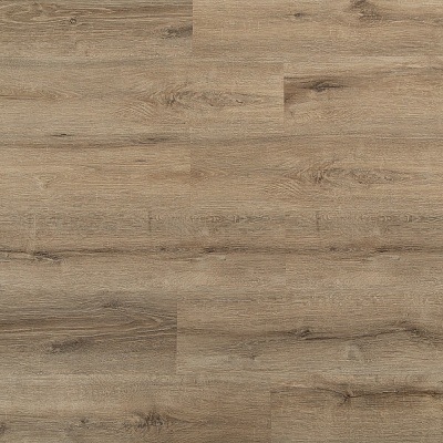 Дуб классический SPC8803