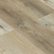 Ld1608 Дуб Сан-Паскаль