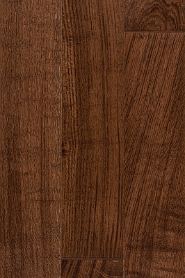 Дуб Петропавловский