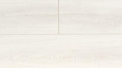 Дуб Хайберг