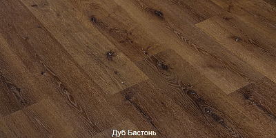 Дуб Бастонь