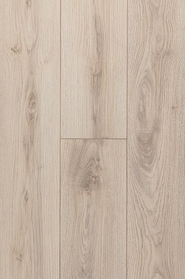 ДУБ КАРИЙСКИЙ