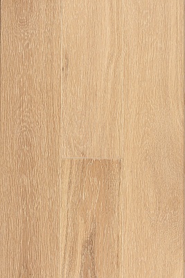 Дуб Василеостровский