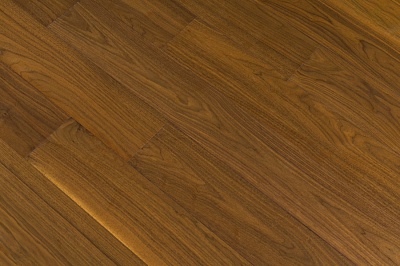 Орех Антарес