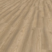 Port Oak Medium